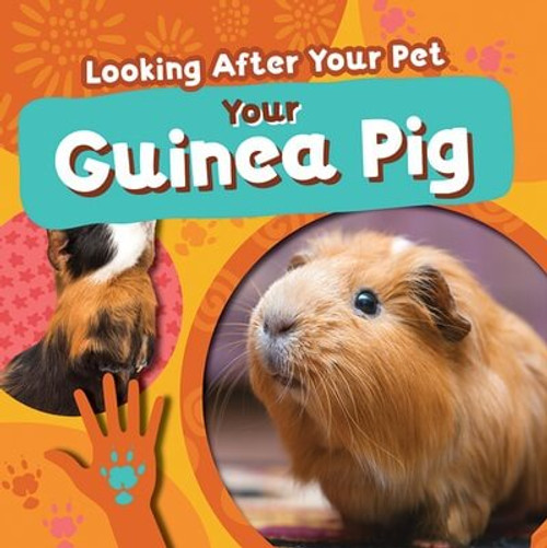 Your Guinea Pig by Rebecca Phillips-Bartlett, 9781534550636