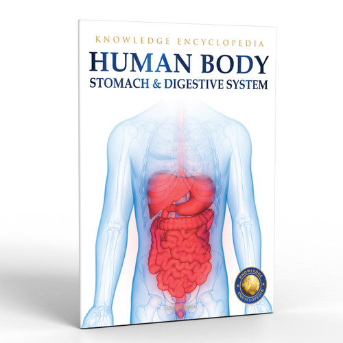 Human Body (Stomach And Digestive System) by Wonder House Books, 9789389931228