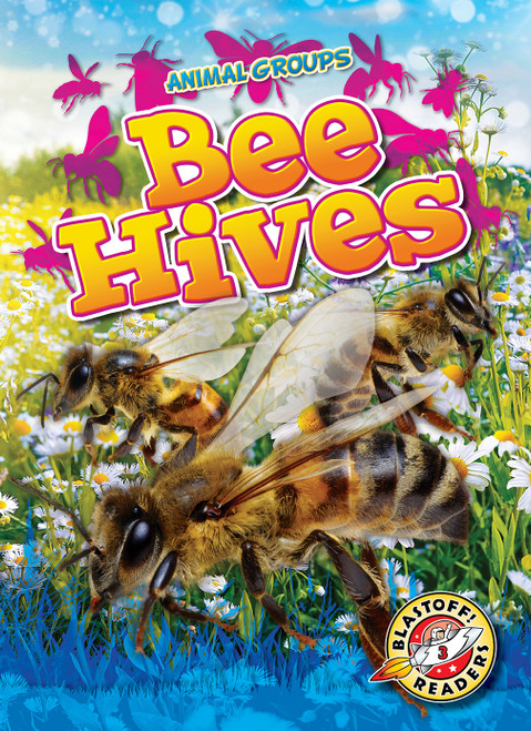 Bee Hives by Rachel Grack, 9798893045109