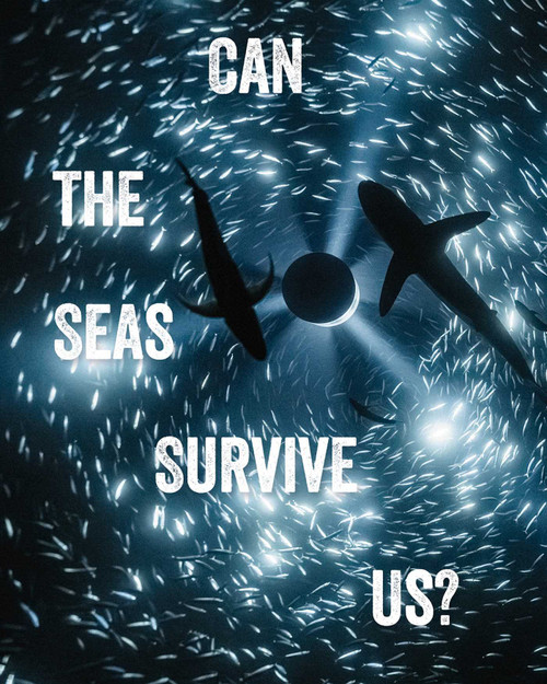 Can the Seas Survive Us? by Tania Moore, John Kenneth Paranada, 9781836360049