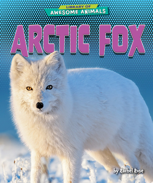 Arctic Fox - 9798895770436 by Rachel Rose, 9798895770436
