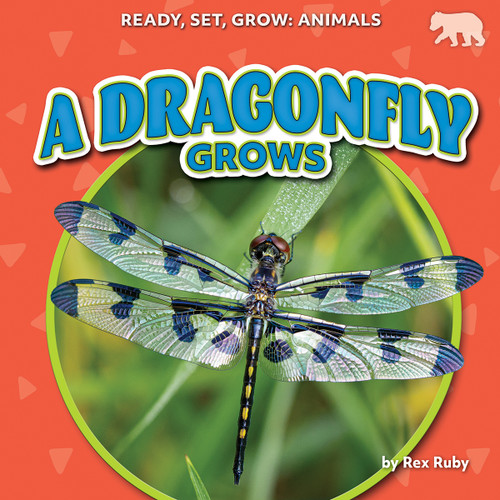 A Dragonfly Grows - 9798895774267 by Rex Ruby, 9798895774267