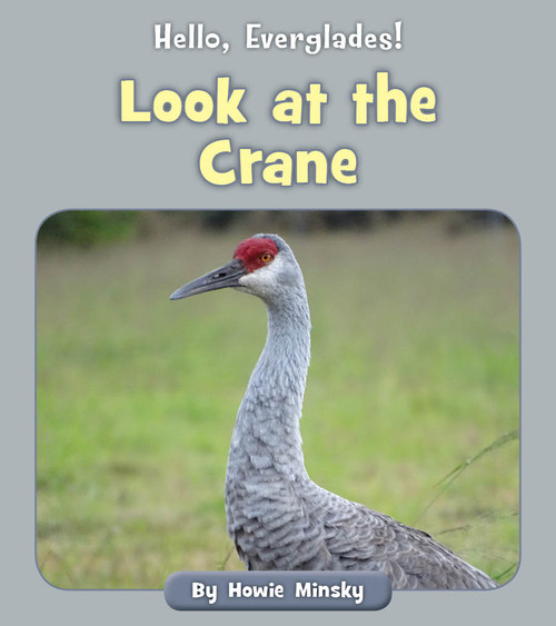 Look at the Crane by Howie Minsky, 9781534157118