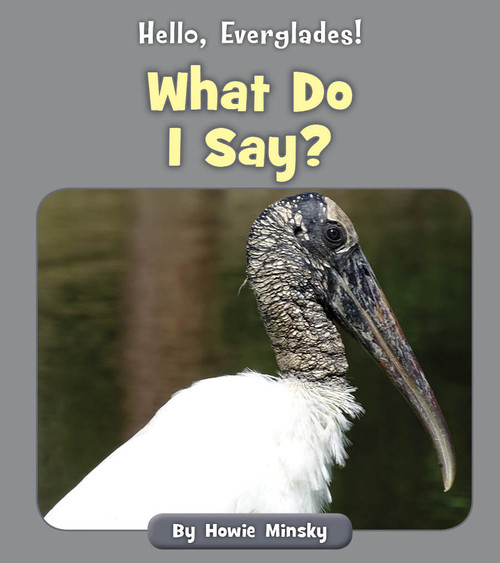 What Do I Say? by Howie Minsky, 9781534157392