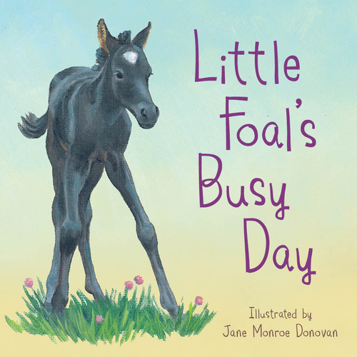 Little Foal's Busy Day by Sleeping Bear Press, Jane Monroe Donovan, 9781534110687
