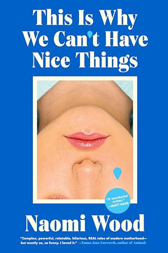 This Is Why We Can't Have Nice Things - 9780063399730 by Naomi Wood