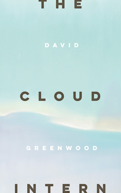 The Cloud Intern by David Greenwood, 9798991122009