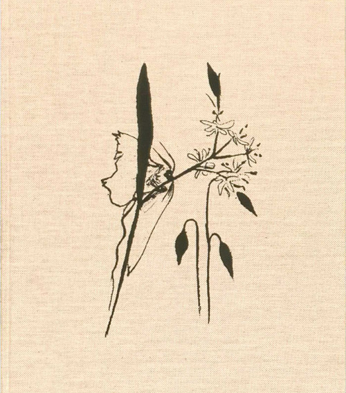 Refuge (Lara Gasparotto) (French Edition) by Eva Mancuso, Lara Gasparotto, 9789464002386