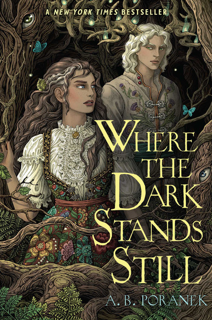 Where the Dark Stands Still - 9781665936484 by A. B. Poranek, 9781665936484
