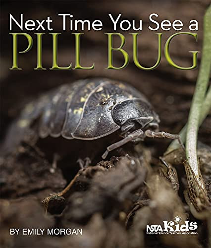 Next Time You See a Pill Bug by Emily Morgan, 9781936959174