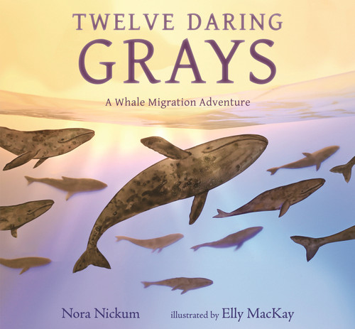 Twelve Daring Grays: A Whale Migration Adventure by Nora Nickum, Elly MacKay, 9781536234701