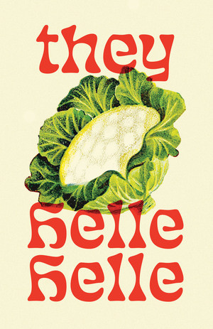 they by Helle Helle, Martin Aitken, 9780811239127