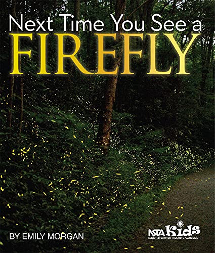 Next Time You See a Firefly by Emily Morgan, 9781938946165