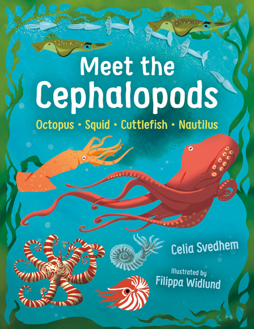 Meet the Cephalopods (Octopus, Squid, Cuttlefish, Nautilus) by Celia Svedhem, Filippa Widlund, B.J. Woodstein, 9781459841239