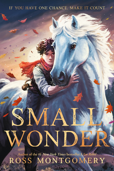 Small Wonder by Ross Montgomery, 9781536252460