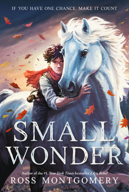 Small Wonder - 9781536252026 by Ross Montgomery, 9781536252026