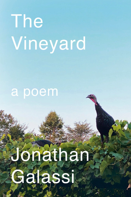 The Vineyard (A Poem) by Jonathan Galassi, 9780593803790