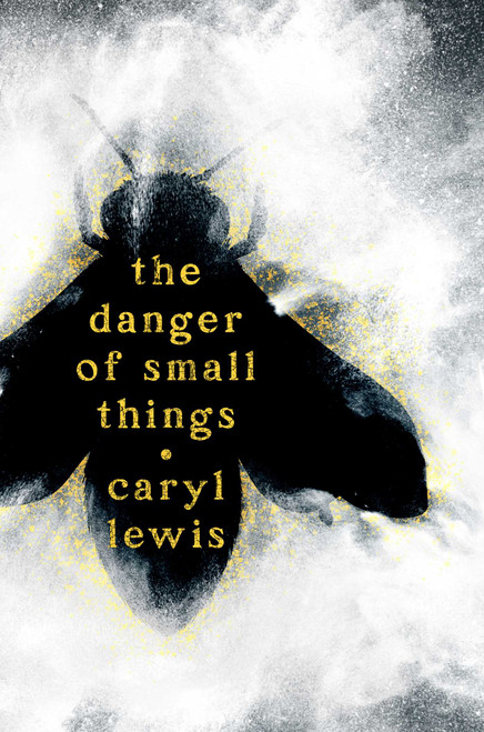 The Danger of Small Things by Caryl Lewis, 9781665977517