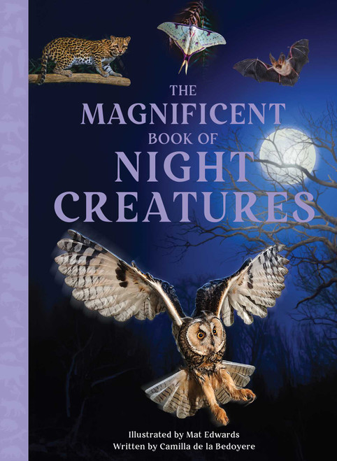 The Magnificent Book of Night Creatures by Mat Edwards, Camilla de la Bedoyere, 9798886743470