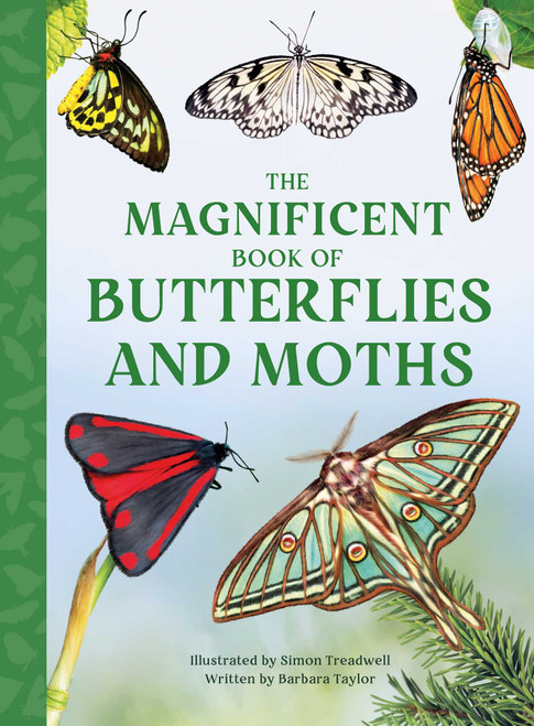 The Magnificent Book of Butterflies & Moths by Barbara Taylor, Simon Treadwell, 9798886743371