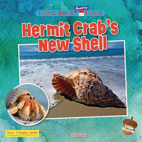 Hermit Crab's New Shell by Ruth Owen, 9781788566278
