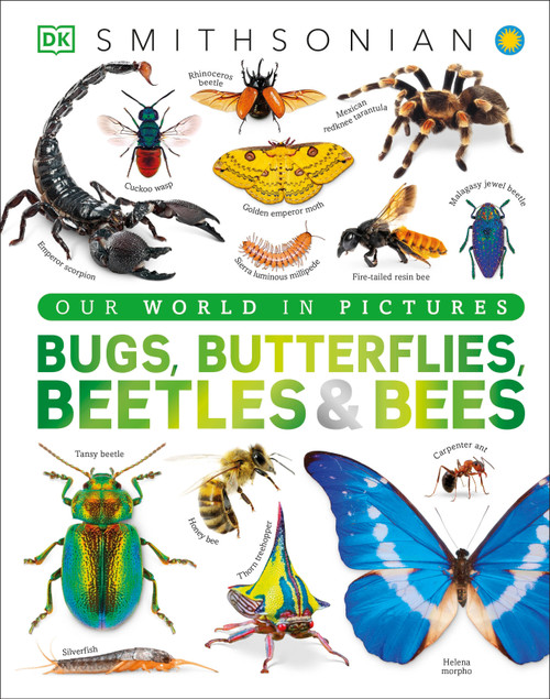 Bugs, Butterflies, Beetles and Bees (A Visual Bug and Insect Encyclopedia for Kids) by DK, 9798217134199