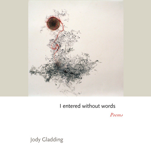 I entered without words (Poems) by Jody Gladding, 9780691238968