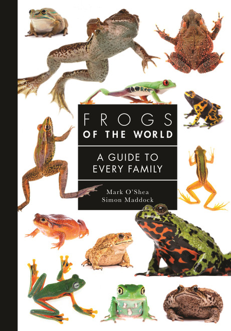 Frogs of the World (A Guide to Every Family) by Mark O'Shea, Simon Maddock, 9780691248301