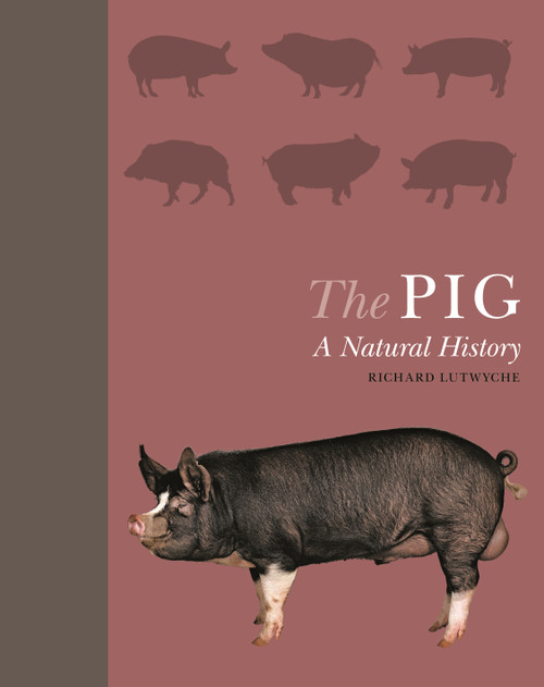 The Pig (A Natural History) by Richard Lutwyche, 9780691182018