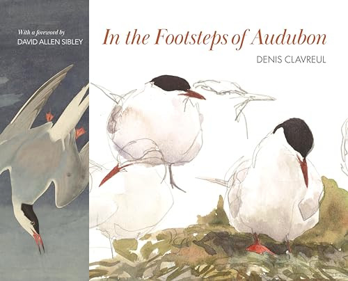 In the Footsteps of Audubon by David Allen Sibley, Denis Clavreul, Martha Le Cars, 9780691237688
