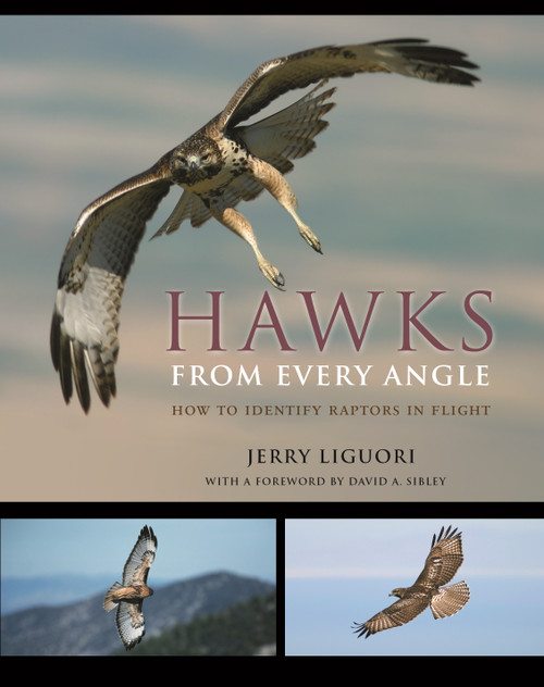 Hawks from Every Angle (How to Identify Raptors In Flight) by Jerry Liguori, David A. Sibley, 9780691118253