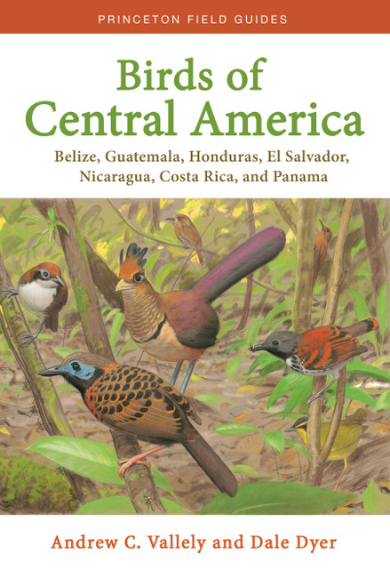Birds of Central America (Belize, Guatemala, Honduras, El Salvador, Nicaragua, Costa Rica, and Panama) by Andrew C. Vallely, Dale Dyer, 9780691138022