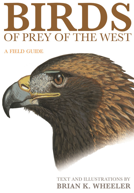 Birds of Prey of the West (A Field Guide) by Brian K. Wheeler, 9780691117188