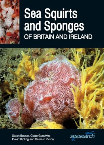 Sea Squirts and Sea Sponges of Britain and Ireland by Sarah Bowen, Claire Goodwin, David Kipling, Bernard Picton, 9780995567382