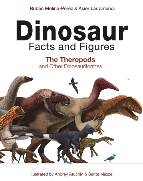 Dinosaur Facts and Figures (The Theropods and Other Dinosauriformes) by Rubén Molina-Pérez, Asier Larramendi, David Connolly, Gonzalo Ángel Ramírez Cruz, Sante Mazzei, Andrey Atuchin, 9780691180311