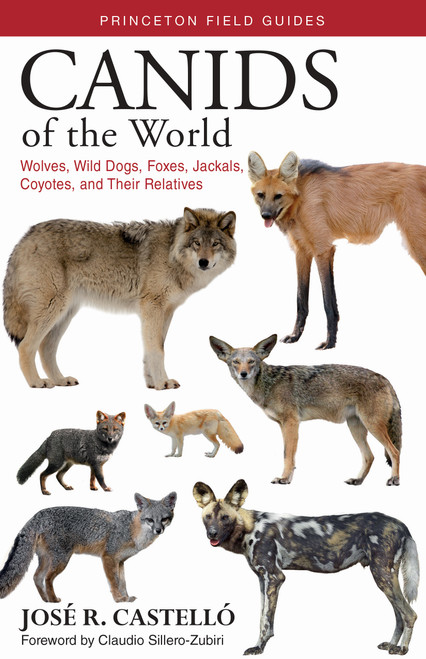 Canids of the World (Wolves, Wild Dogs, Foxes, Jackals, Coyotes, and Their Relatives) by José R. Castelló, Claudio Sillero-Zubiri, 9780691176857
