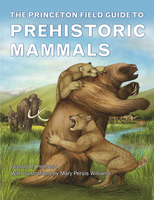 The Princeton Field Guide to Prehistoric Mammals by Donald R. Prothero, Mary Persis Williams, 9780691156828