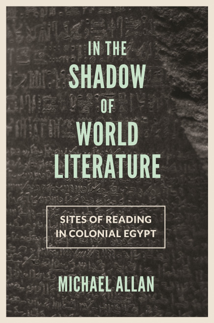 In the Shadow of World Literature (Sites of Reading in Colonial Egypt) by Michael Allan, 9780691167831