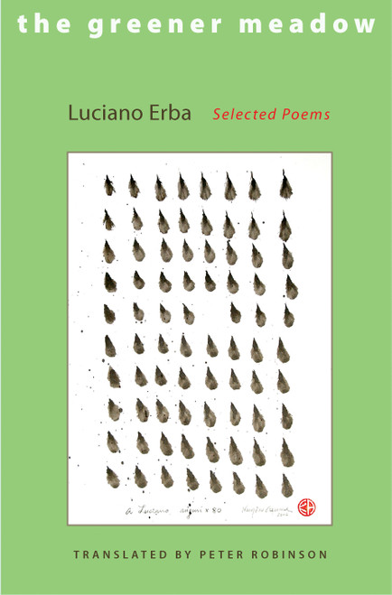 The Greener Meadow (Selected Poems) by Luciano Erba, Peter Robinson, 9780691127644
