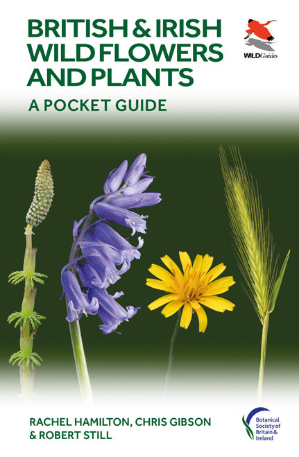 British and Irish Wild Flowers and Plants (A Pocket Guide) by Rachel Hamilton, Chris Gibson, Robert Still, 9780691245409