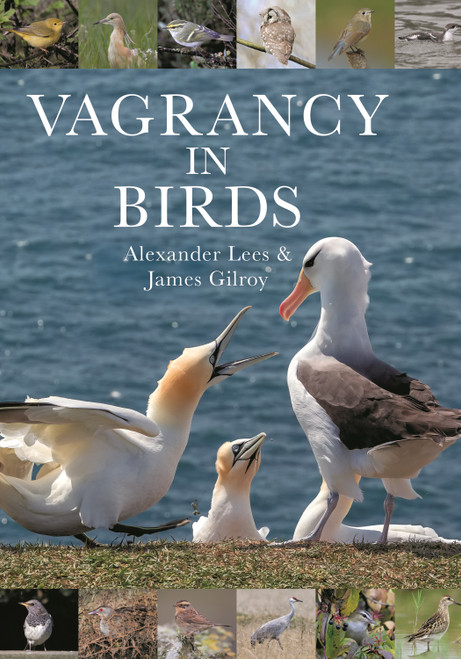 Vagrancy in Birds by Alexander Lees, James Gilroy, 9780691224886