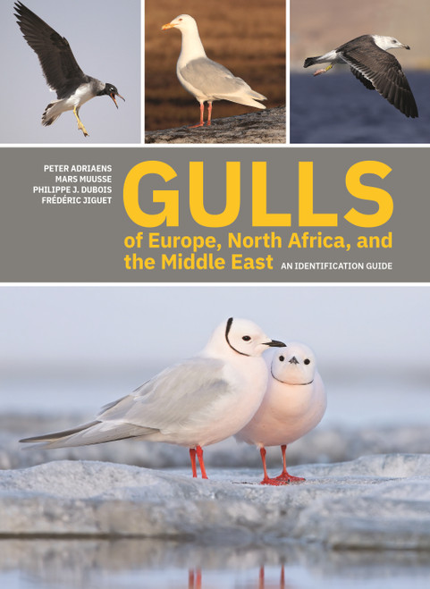 Gulls of Europe, North Africa, and the Middle East (An Identification Guide) by Peter Adriaens, Mars Muusse, Philippe J. Dubois, Frédéric Jiguet, 9780691222837