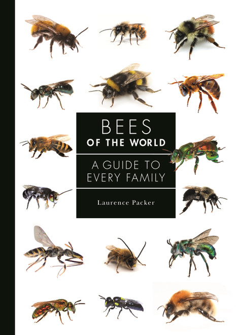 Bees of the World (A Guide to Every Family) by Laurence Packer, 9780691226620