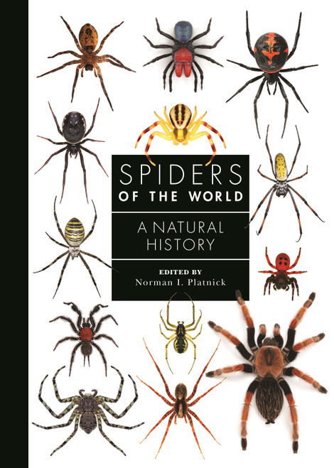 Spiders of the World (A Natural History) by Norman I. Platnick, Rudy Jocqué, Gustavo Hormiga, Robert Raven, Martín J. Ramírez, Peter Jäger, 9780691188850