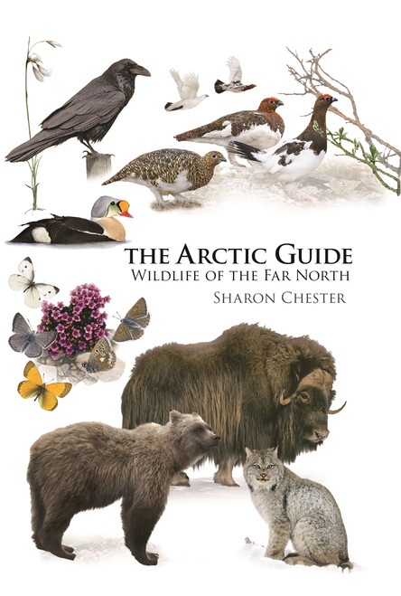 The Arctic Guide (Wildlife of the Far North) by Sharon Chester, 9780691139753