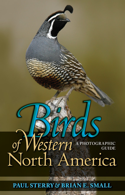Birds of Western North America (A Photographic Guide) by Paul Sterry, Brian E. Small, 9780691134284
