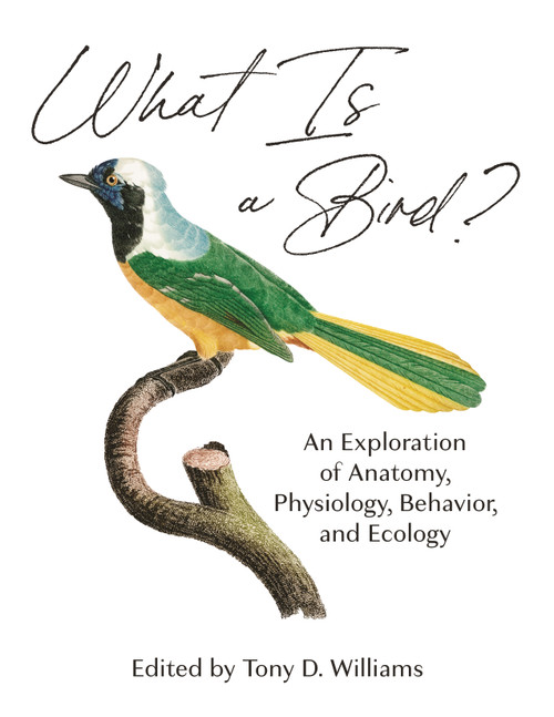 What Is a Bird? (An Exploration of Anatomy, Physiology, Behavior, and Ecology) by Tony D. Williams, Scott McWilliams, Julia A. Clarke, Elizabeth MacDougall-Shackleton, Scott MacDougall-Shackleton, Frances Bonier, Chad Eliason, Tony D. Williams, 9780691200163