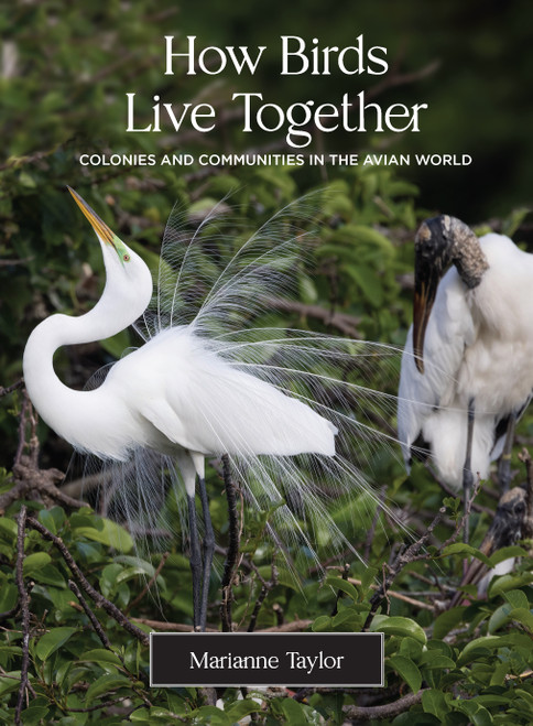 How Birds Live Together (Colonies and Communities in the Avian World) by Marianne Taylor, 9780691231907