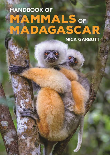 Handbook of Mammals of Madagascar - 9780691239910 - 9780691239910 by Nick Garbutt, 9780691239910