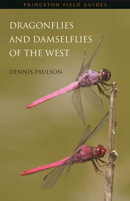 Dragonflies and Damselflies of the West by Dennis Paulson, 9780691122816